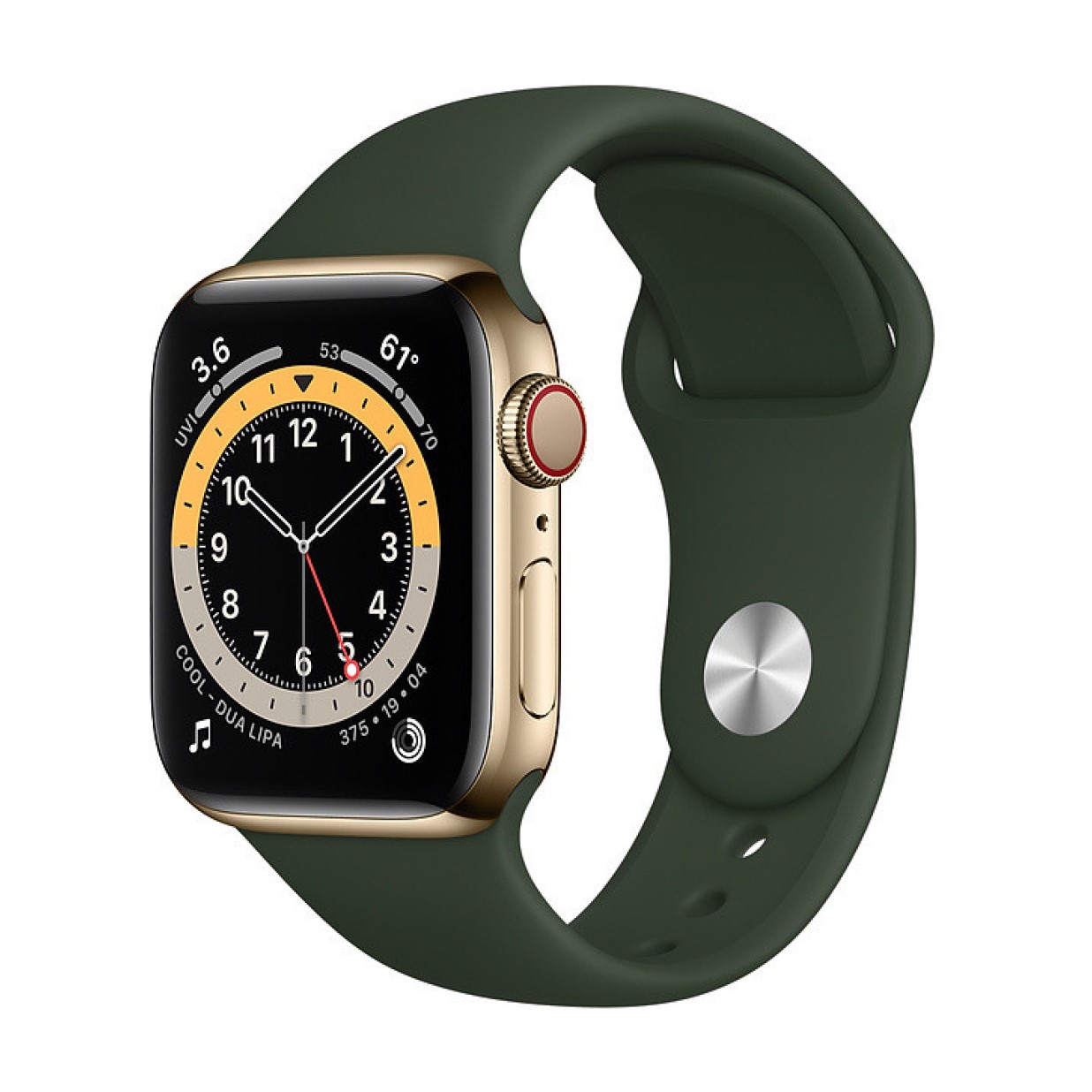 Apple Watch Series 6 Stainless Steel Gold