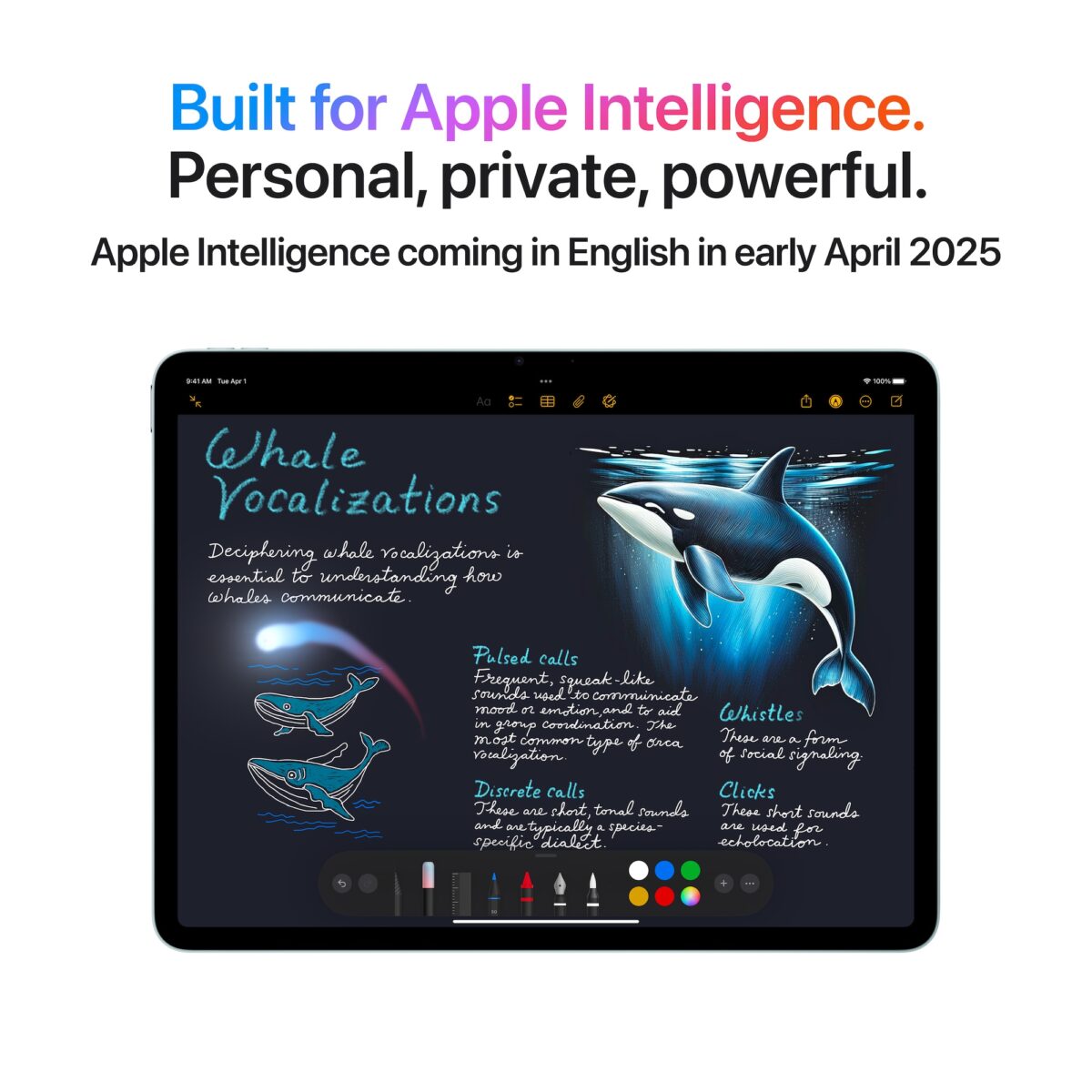 Apple-iPad-Air-13-Space-Grey-Liquid-Retina-2732-x-2048-pixels-Apple-M3-256-GB-25